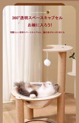 スペースキャプセル猫ベッド🐾