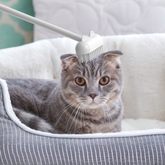 にゃんもふブラシ