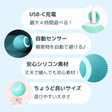 コロコロにゃんボール