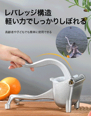 ハンドジューサー