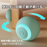 コロコロにゃんボール