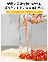 ハンドジューサー