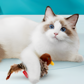 パタスズちゃん