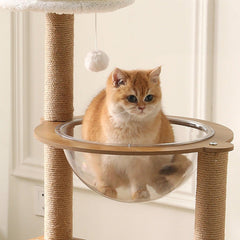 スペースキャプセル猫ベッド🐾