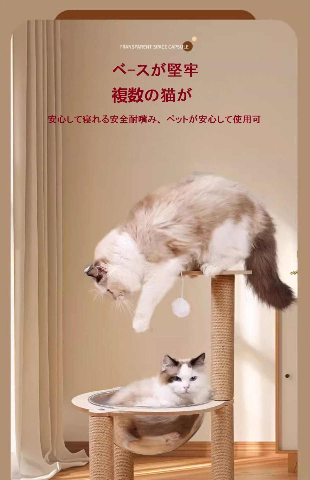 スペースキャプセル猫ベッド🐾