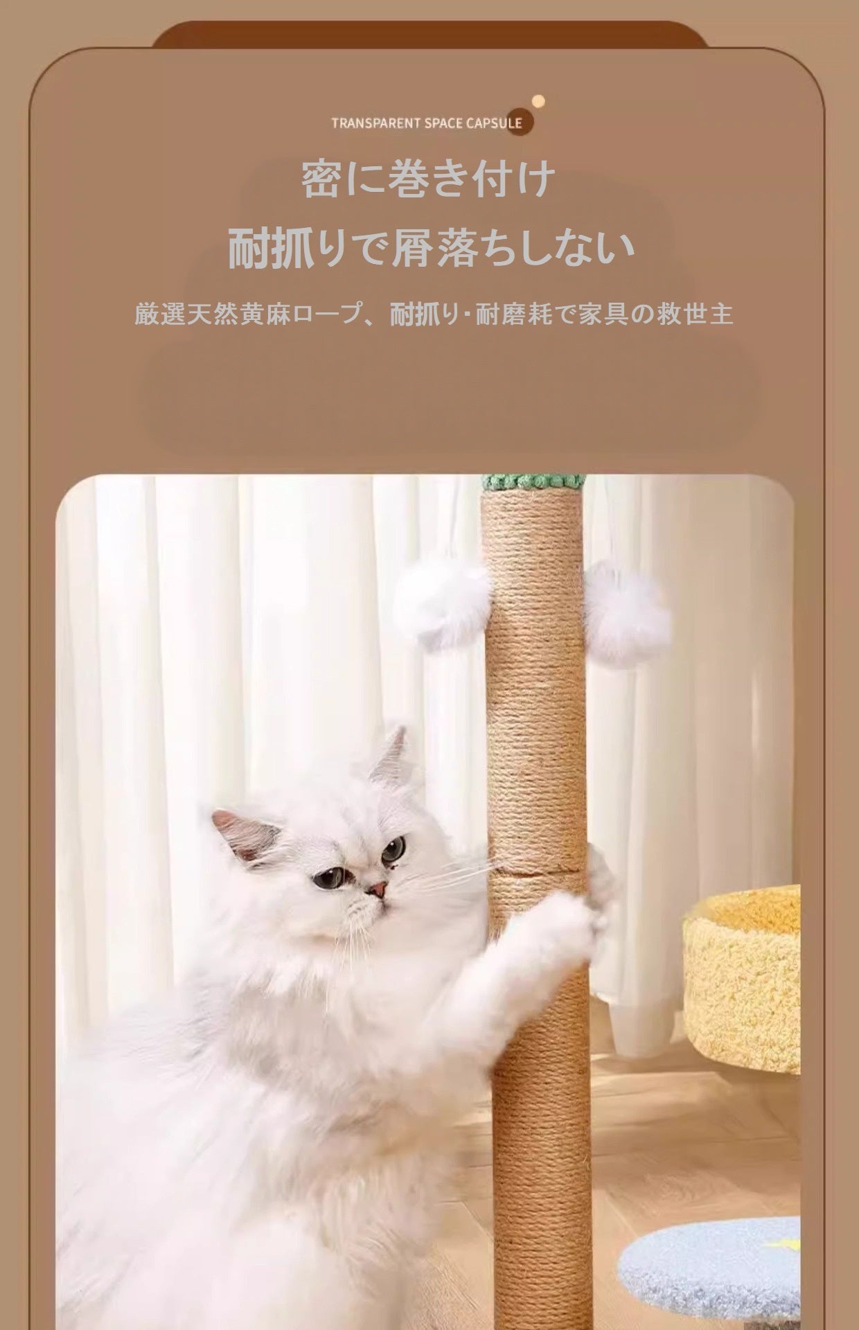 スペースキャプセル猫ベッド🐾