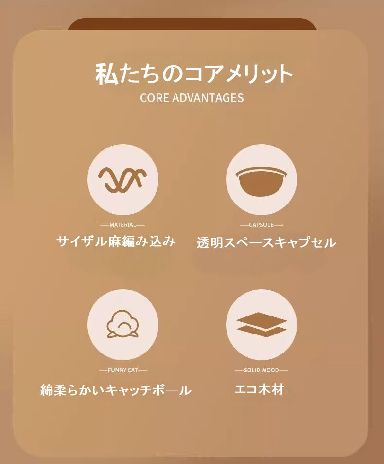 スペースキャプセル猫ベッド🐾