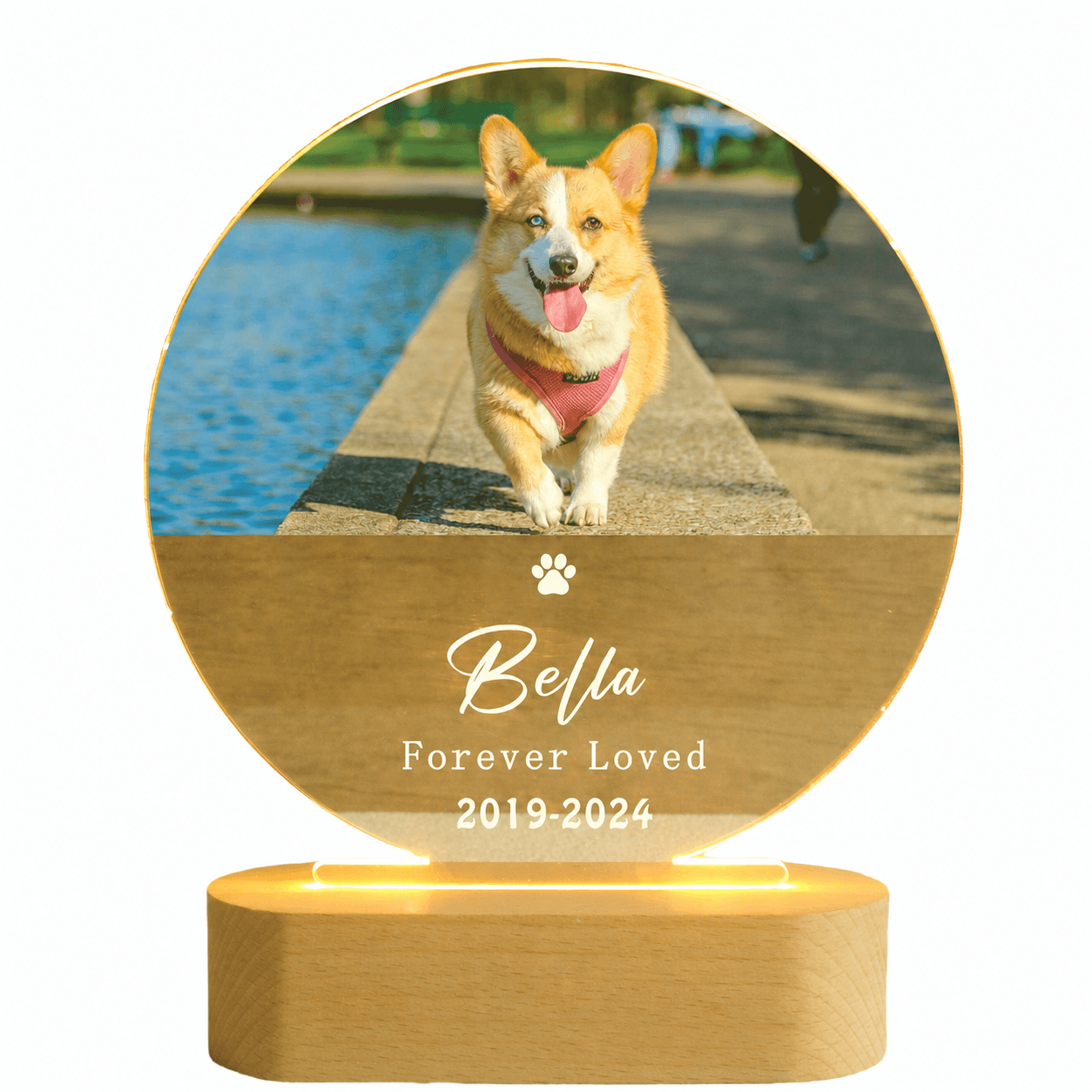 Custom Pet Figurine Memorial Gift Lamp