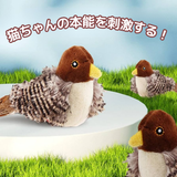 パタスズちゃん