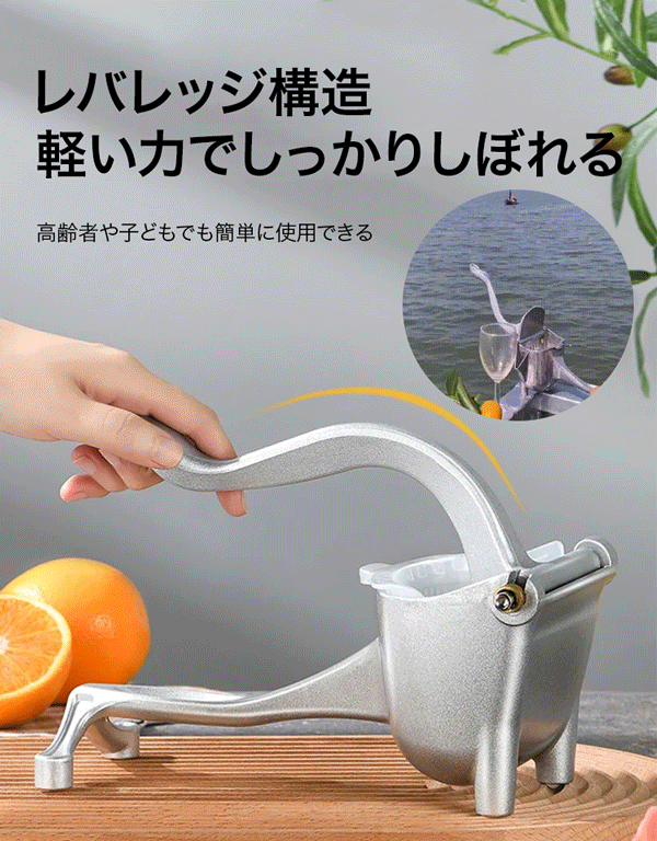 ハンドジューサー