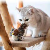 パタスズちゃん