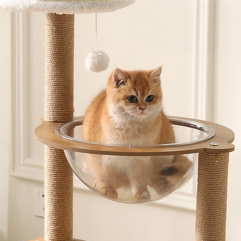 スペースキャプセル猫ベッド🐾