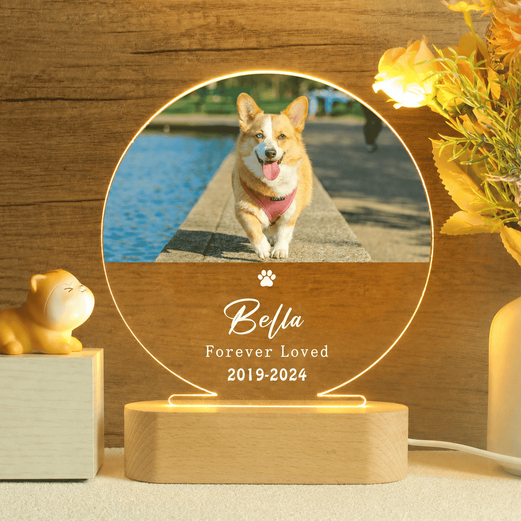 Custom Pet Figurine Memorial Gift Lamp