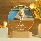 Custom Pet Figurine Memorial Gift Lamp