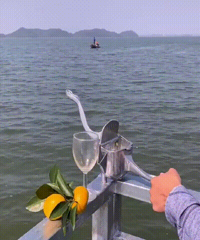 ハンドジューサー